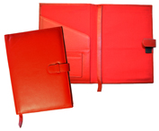 Red Leather Diaries